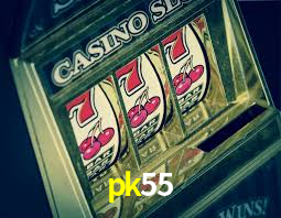 Premium Interface pk55