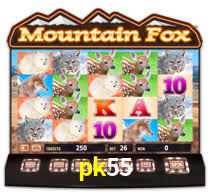 pk55.com