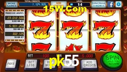 Ofertas Exclusivas pk55